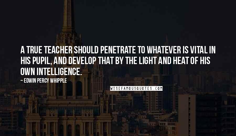 Edwin Percy Whipple Quotes: A true teacher should penetrate to whatever is vital in his pupil, and develop that by the light and heat of his own intelligence.