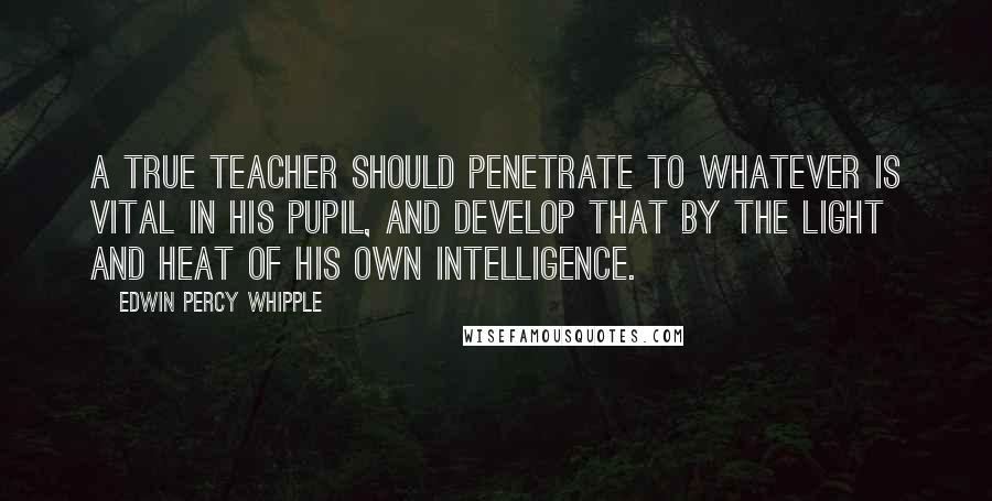 Edwin Percy Whipple Quotes: A true teacher should penetrate to whatever is vital in his pupil, and develop that by the light and heat of his own intelligence.