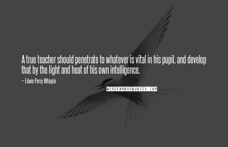 Edwin Percy Whipple Quotes: A true teacher should penetrate to whatever is vital in his pupil, and develop that by the light and heat of his own intelligence.