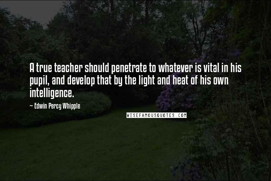 Edwin Percy Whipple Quotes: A true teacher should penetrate to whatever is vital in his pupil, and develop that by the light and heat of his own intelligence.