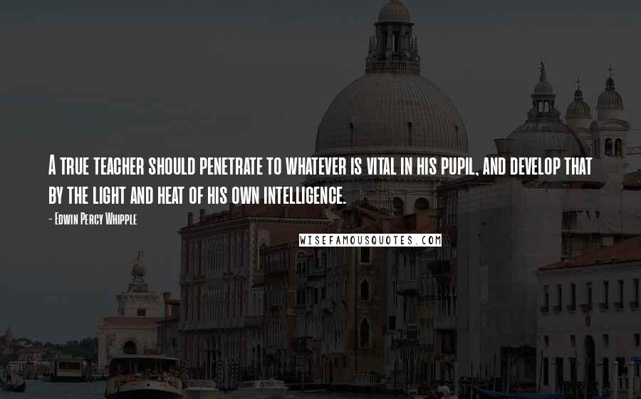 Edwin Percy Whipple Quotes: A true teacher should penetrate to whatever is vital in his pupil, and develop that by the light and heat of his own intelligence.