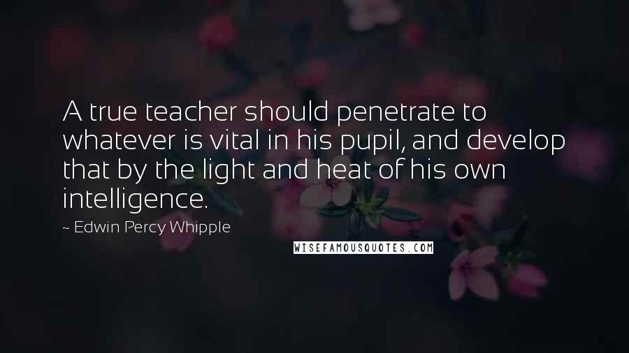 Edwin Percy Whipple Quotes: A true teacher should penetrate to whatever is vital in his pupil, and develop that by the light and heat of his own intelligence.