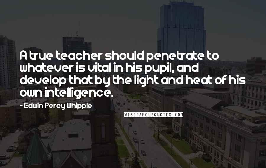 Edwin Percy Whipple Quotes: A true teacher should penetrate to whatever is vital in his pupil, and develop that by the light and heat of his own intelligence.