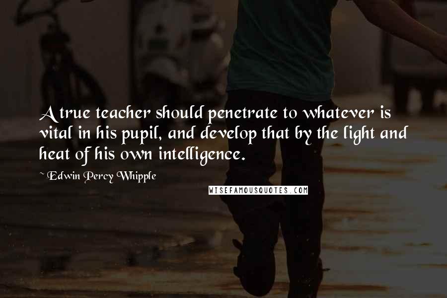 Edwin Percy Whipple Quotes: A true teacher should penetrate to whatever is vital in his pupil, and develop that by the light and heat of his own intelligence.