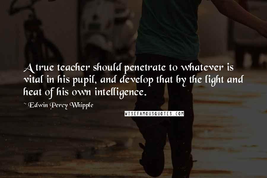 Edwin Percy Whipple Quotes: A true teacher should penetrate to whatever is vital in his pupil, and develop that by the light and heat of his own intelligence.