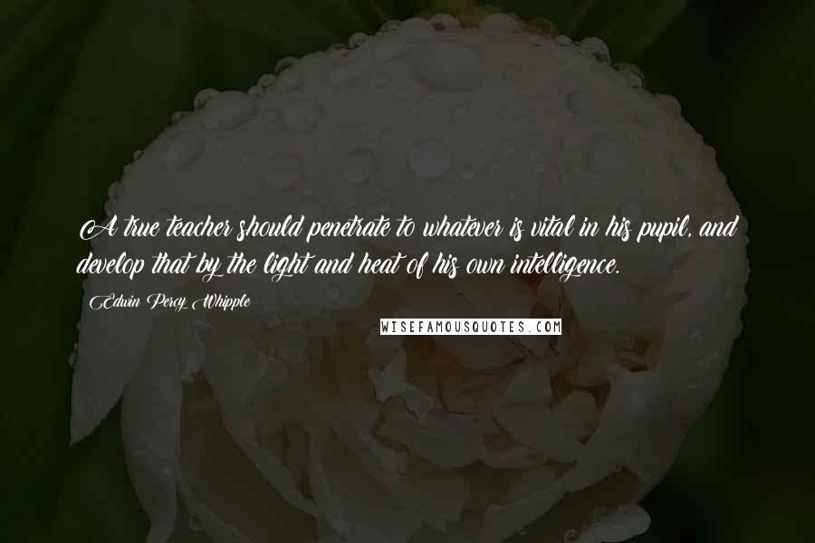 Edwin Percy Whipple Quotes: A true teacher should penetrate to whatever is vital in his pupil, and develop that by the light and heat of his own intelligence.