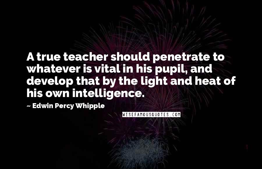 Edwin Percy Whipple Quotes: A true teacher should penetrate to whatever is vital in his pupil, and develop that by the light and heat of his own intelligence.