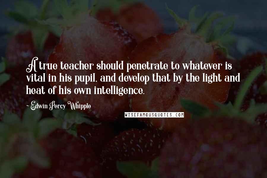 Edwin Percy Whipple Quotes: A true teacher should penetrate to whatever is vital in his pupil, and develop that by the light and heat of his own intelligence.