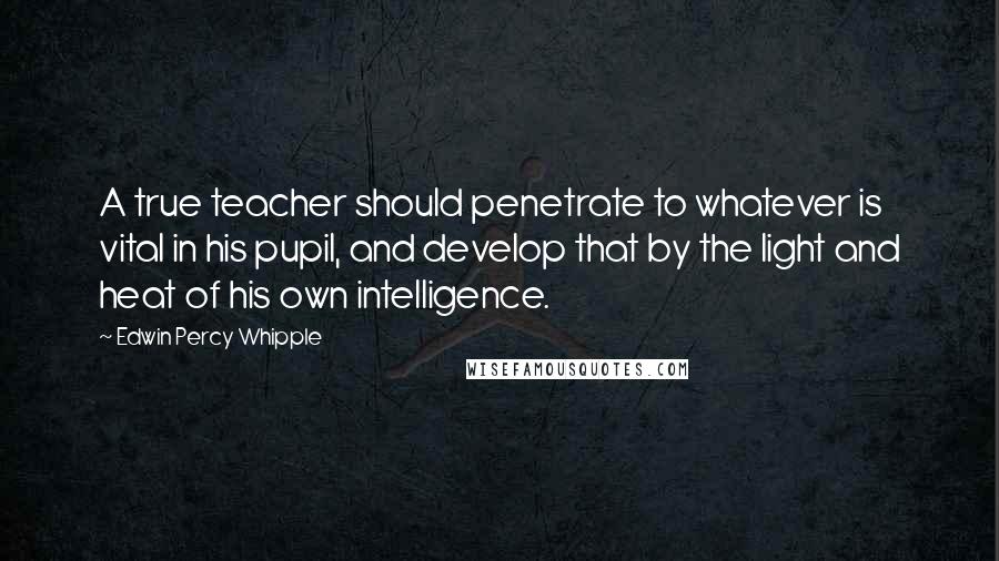 Edwin Percy Whipple Quotes: A true teacher should penetrate to whatever is vital in his pupil, and develop that by the light and heat of his own intelligence.