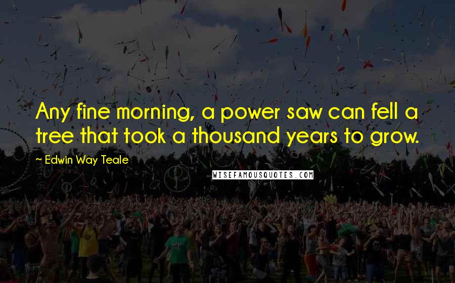 Edwin Way Teale Quotes: Any fine morning, a power saw can fell a tree that took a thousand years to grow.