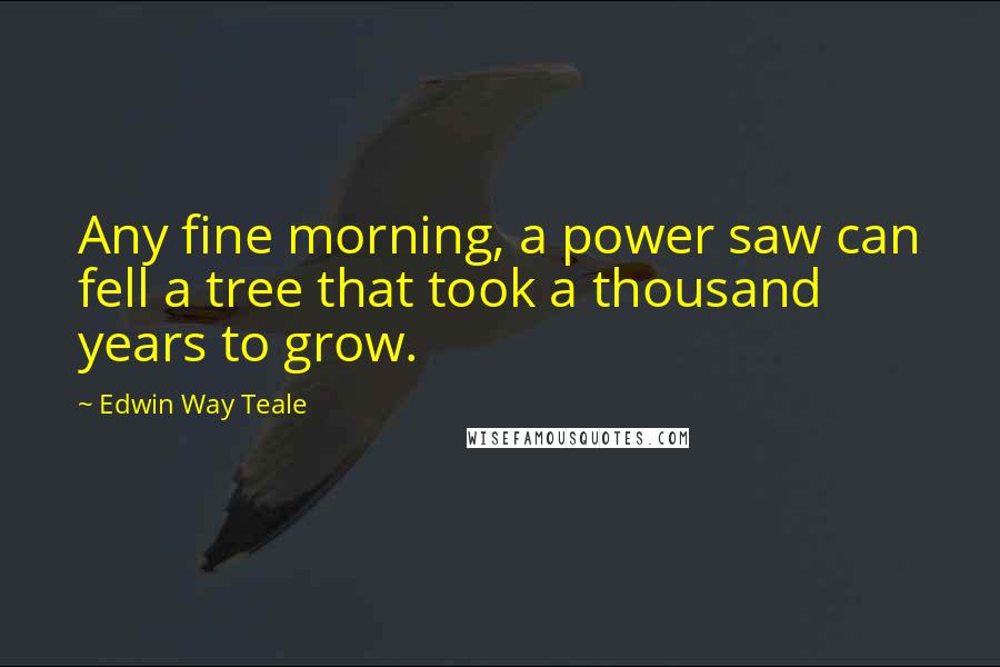 Edwin Way Teale Quotes: Any fine morning, a power saw can fell a tree that took a thousand years to grow.