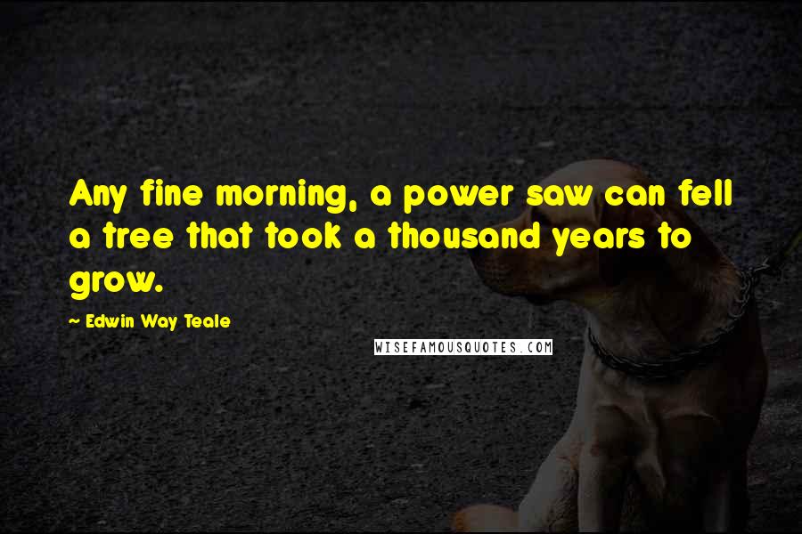 Edwin Way Teale Quotes: Any fine morning, a power saw can fell a tree that took a thousand years to grow.