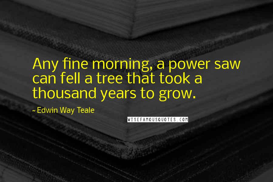 Edwin Way Teale Quotes: Any fine morning, a power saw can fell a tree that took a thousand years to grow.