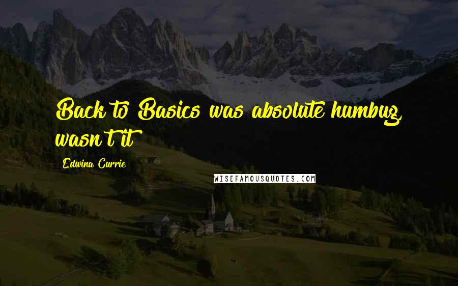 Edwina Currie Quotes: Back to Basics was absolute humbug, wasn't it?