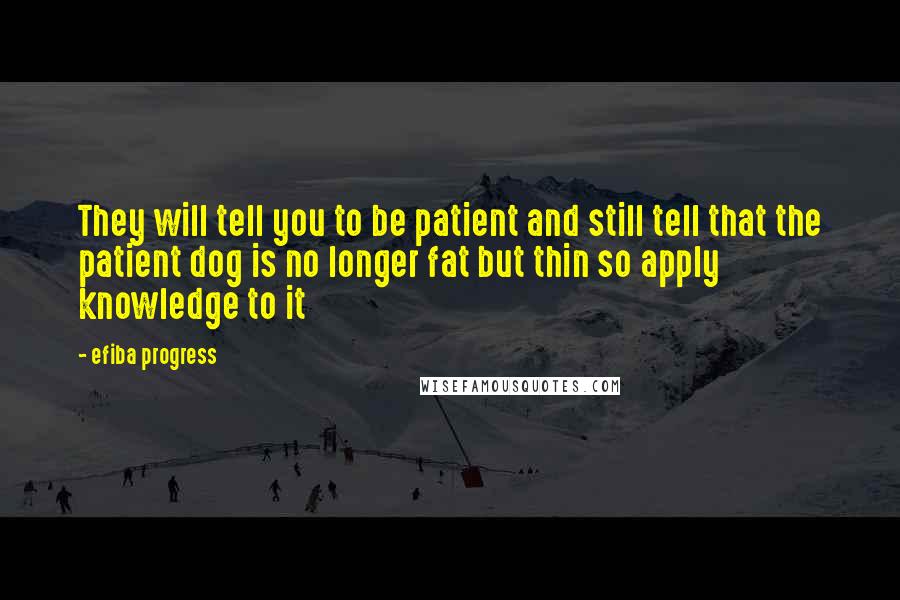 Efiba Progress Quotes: They will tell you to be patient and still tell that the patient dog is no longer fat but thin so apply knowledge to it