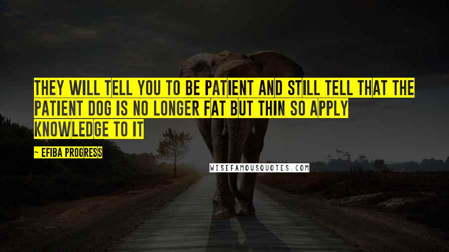 Efiba Progress Quotes: They will tell you to be patient and still tell that the patient dog is no longer fat but thin so apply knowledge to it