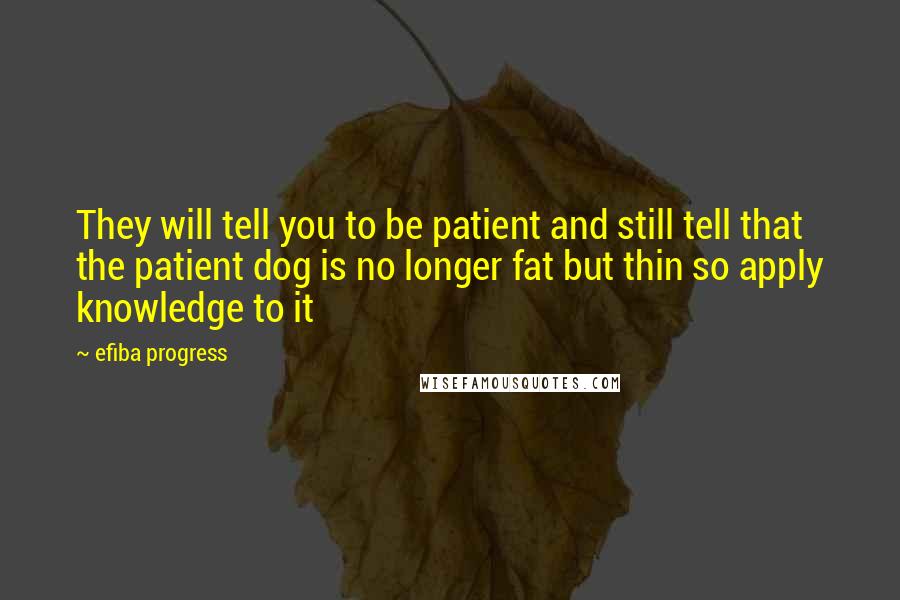 Efiba Progress Quotes: They will tell you to be patient and still tell that the patient dog is no longer fat but thin so apply knowledge to it