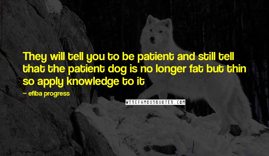 Efiba Progress Quotes: They will tell you to be patient and still tell that the patient dog is no longer fat but thin so apply knowledge to it