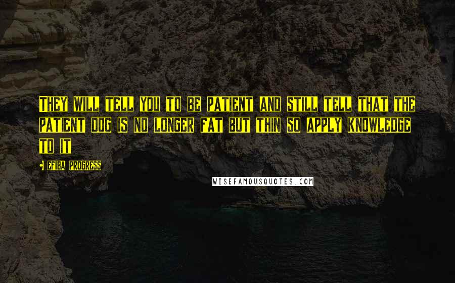 Efiba Progress Quotes: They will tell you to be patient and still tell that the patient dog is no longer fat but thin so apply knowledge to it