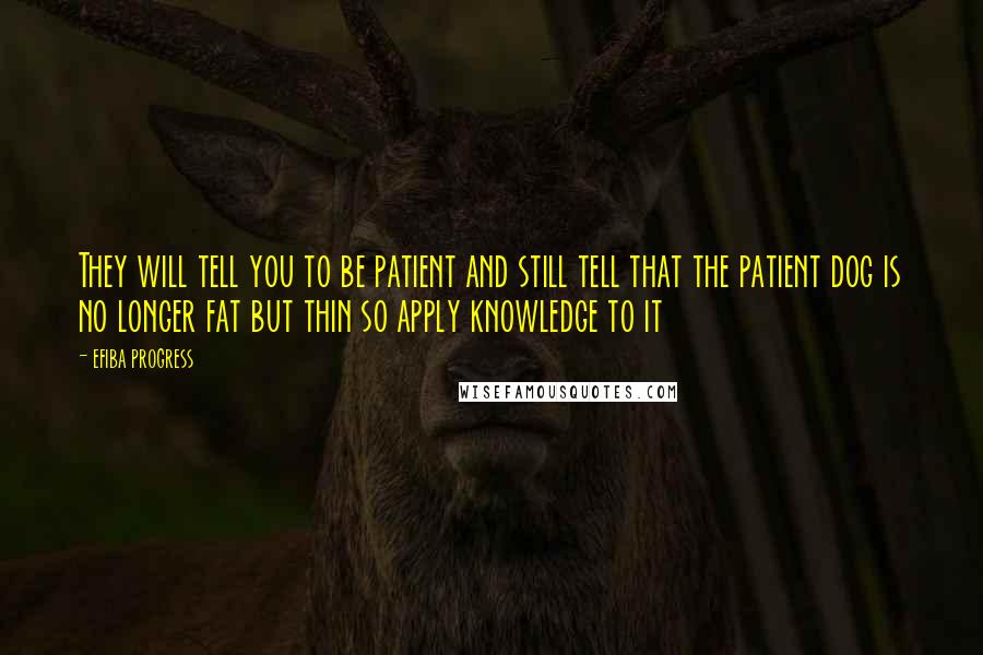 Efiba Progress Quotes: They will tell you to be patient and still tell that the patient dog is no longer fat but thin so apply knowledge to it