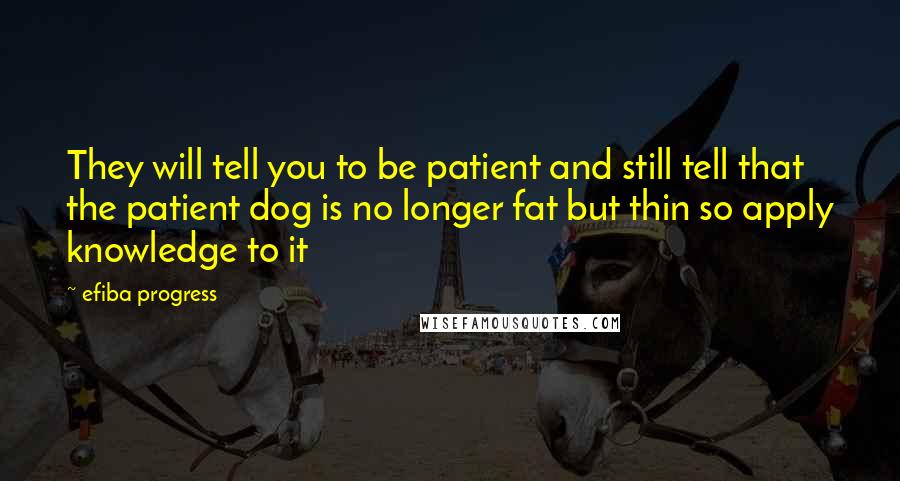 Efiba Progress Quotes: They will tell you to be patient and still tell that the patient dog is no longer fat but thin so apply knowledge to it