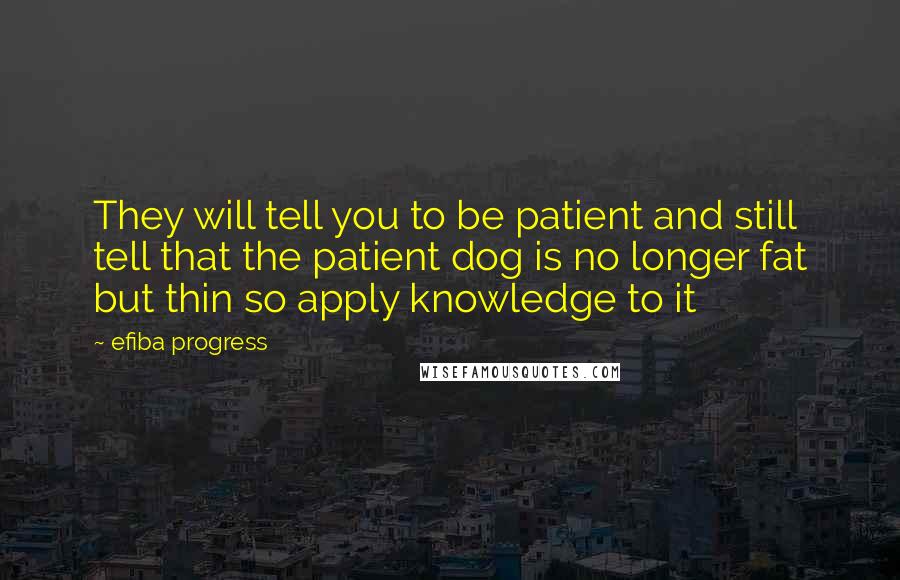 Efiba Progress Quotes: They will tell you to be patient and still tell that the patient dog is no longer fat but thin so apply knowledge to it