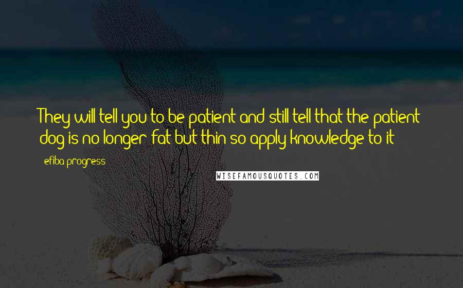 Efiba Progress Quotes: They will tell you to be patient and still tell that the patient dog is no longer fat but thin so apply knowledge to it