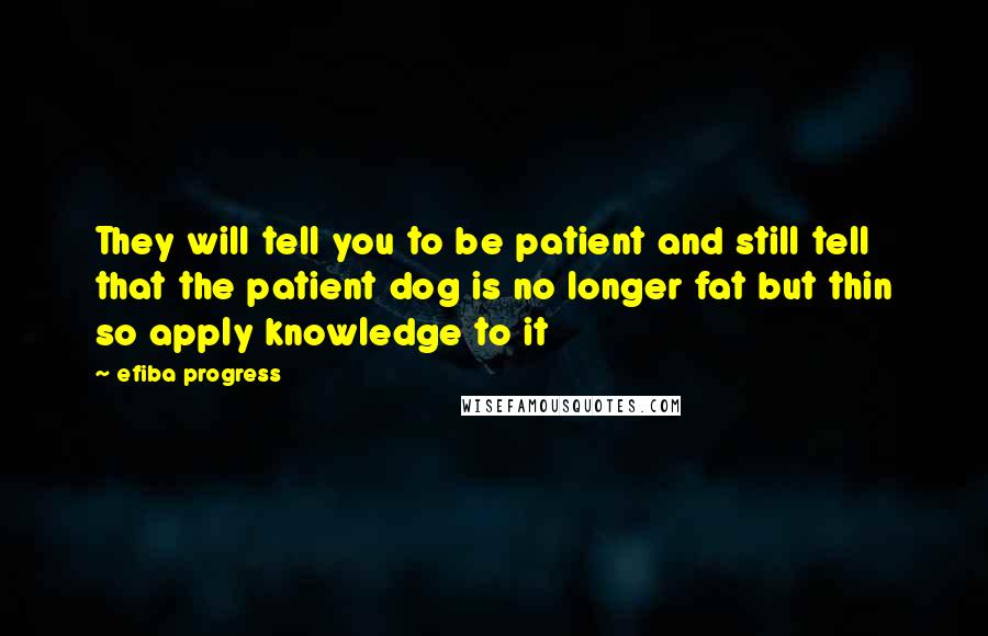 Efiba Progress Quotes: They will tell you to be patient and still tell that the patient dog is no longer fat but thin so apply knowledge to it