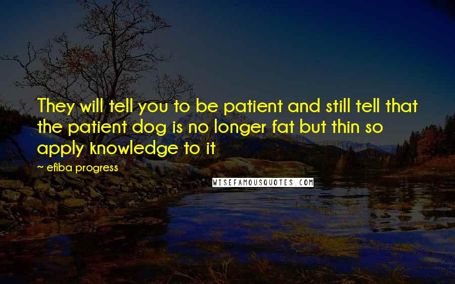 Efiba Progress Quotes: They will tell you to be patient and still tell that the patient dog is no longer fat but thin so apply knowledge to it