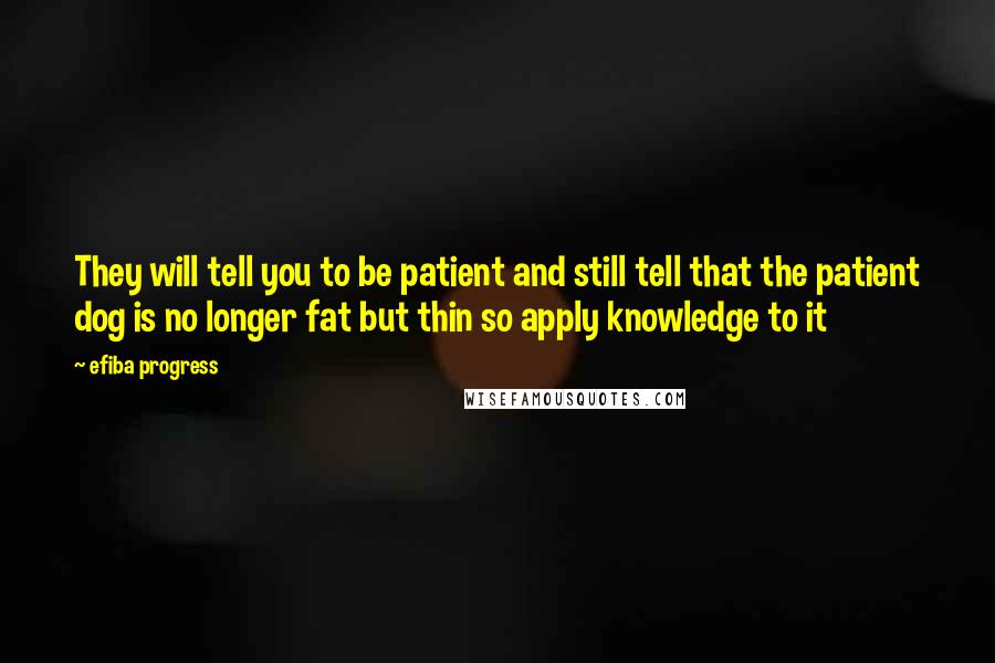 Efiba Progress Quotes: They will tell you to be patient and still tell that the patient dog is no longer fat but thin so apply knowledge to it