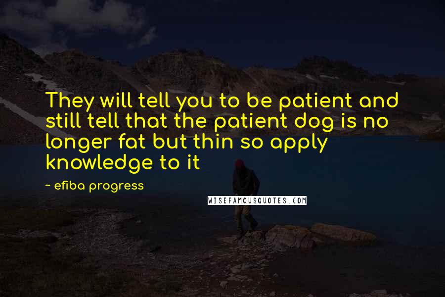 Efiba Progress Quotes: They will tell you to be patient and still tell that the patient dog is no longer fat but thin so apply knowledge to it