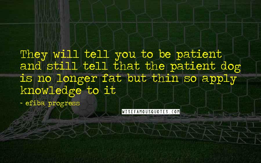 Efiba Progress Quotes: They will tell you to be patient and still tell that the patient dog is no longer fat but thin so apply knowledge to it