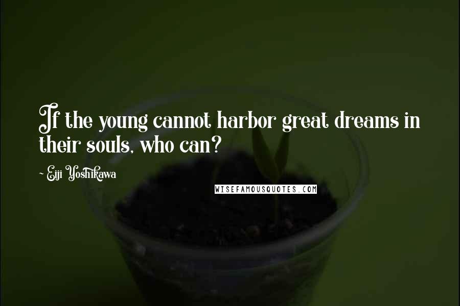 Eiji Yoshikawa Quotes: If the young cannot harbor great dreams in their souls, who can?