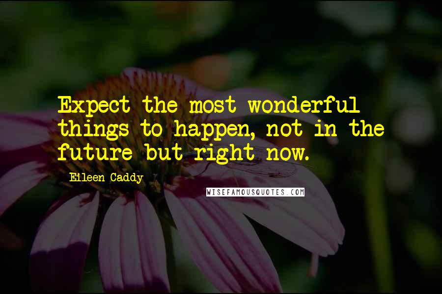 Eileen Caddy Quotes: Expect the most wonderful things to happen, not in the future but right now.