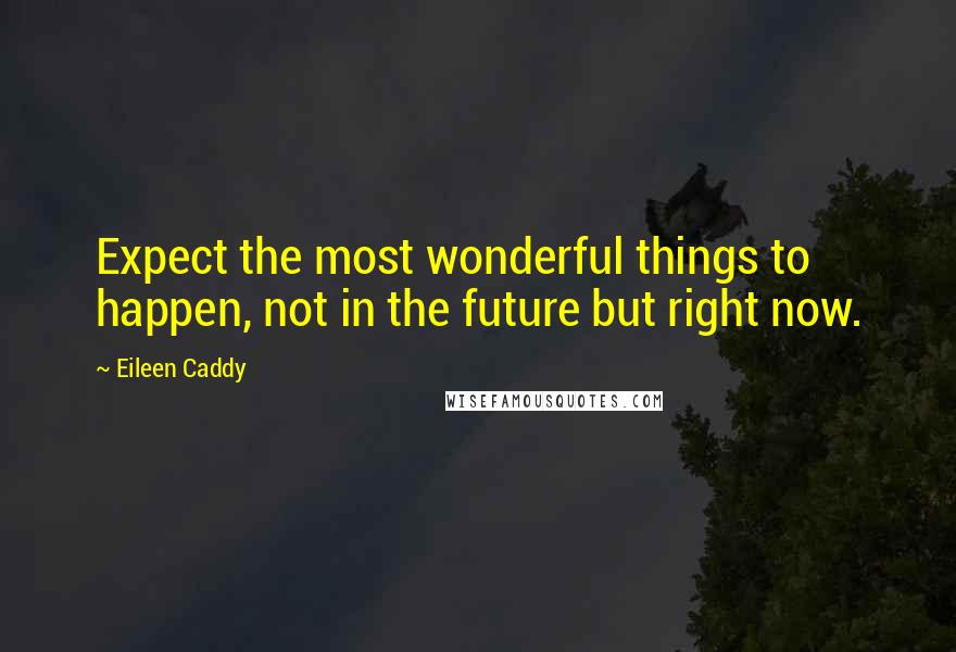 Eileen Caddy Quotes: Expect the most wonderful things to happen, not in the future but right now.