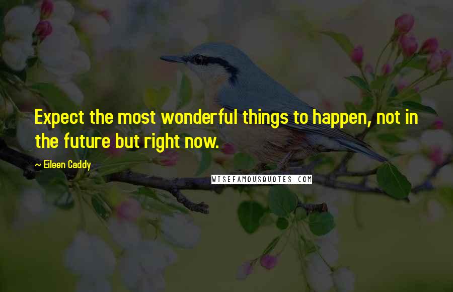 Eileen Caddy Quotes: Expect the most wonderful things to happen, not in the future but right now.