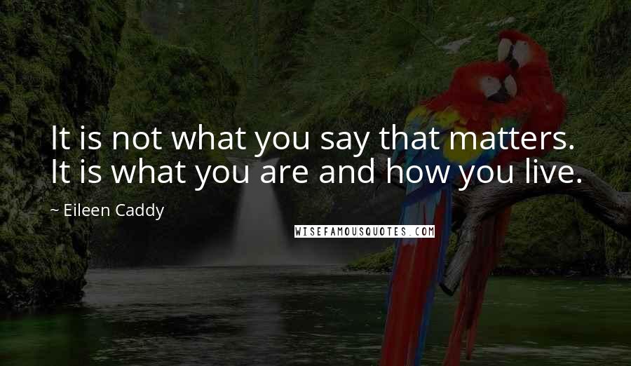 Eileen Caddy Quotes: It is not what you say that matters. It is what you are and how you live.