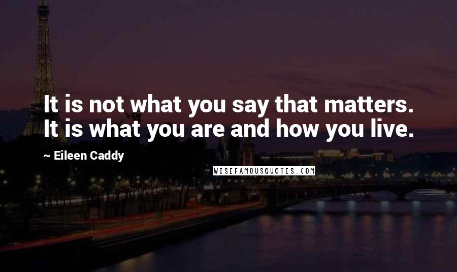 Eileen Caddy Quotes: It is not what you say that matters. It is what you are and how you live.