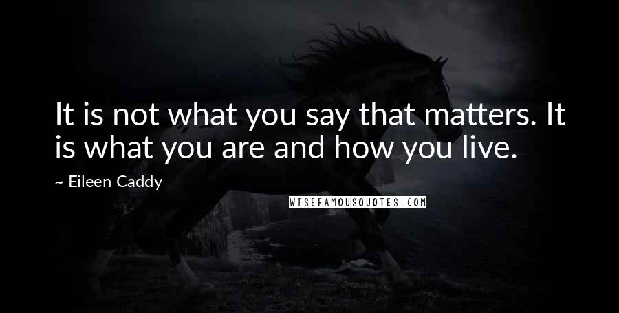 Eileen Caddy Quotes: It is not what you say that matters. It is what you are and how you live.