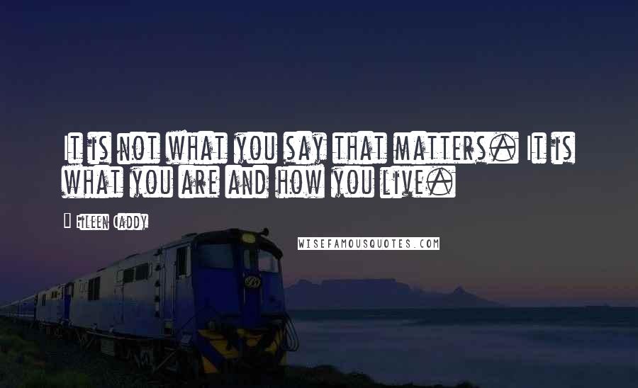 Eileen Caddy Quotes: It is not what you say that matters. It is what you are and how you live.