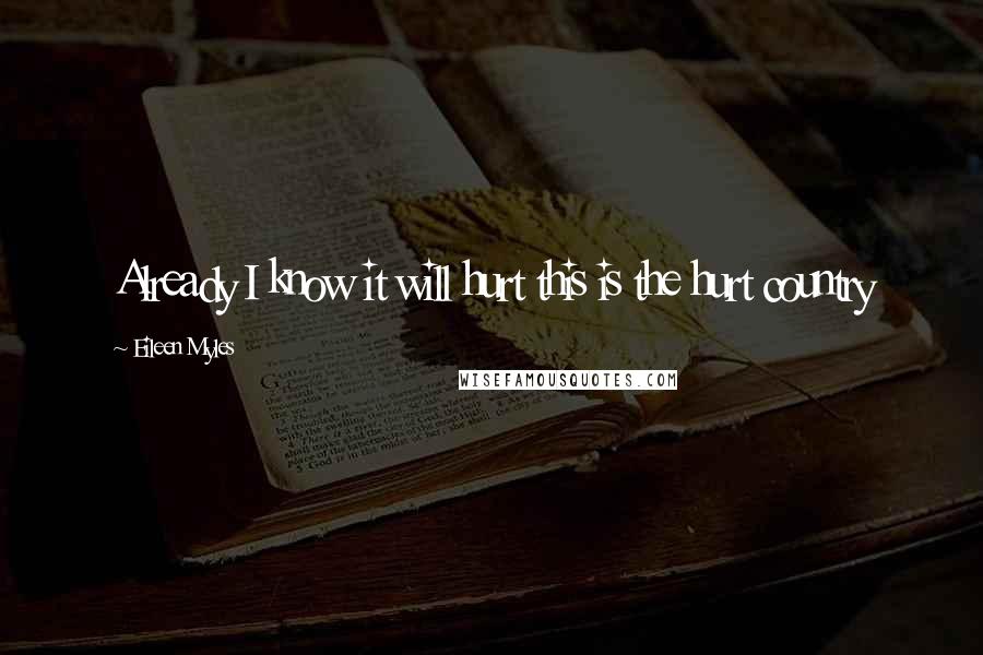 Eileen Myles Quotes: Already I know it will hurt this is the hurt country