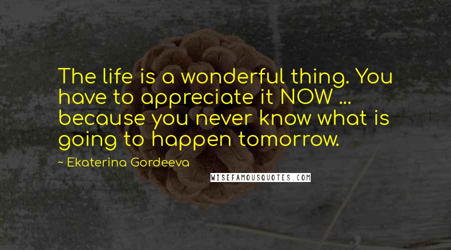 Ekaterina Gordeeva Quotes: The life is a wonderful thing. You have to appreciate it NOW ... because you never know what is going to happen tomorrow.