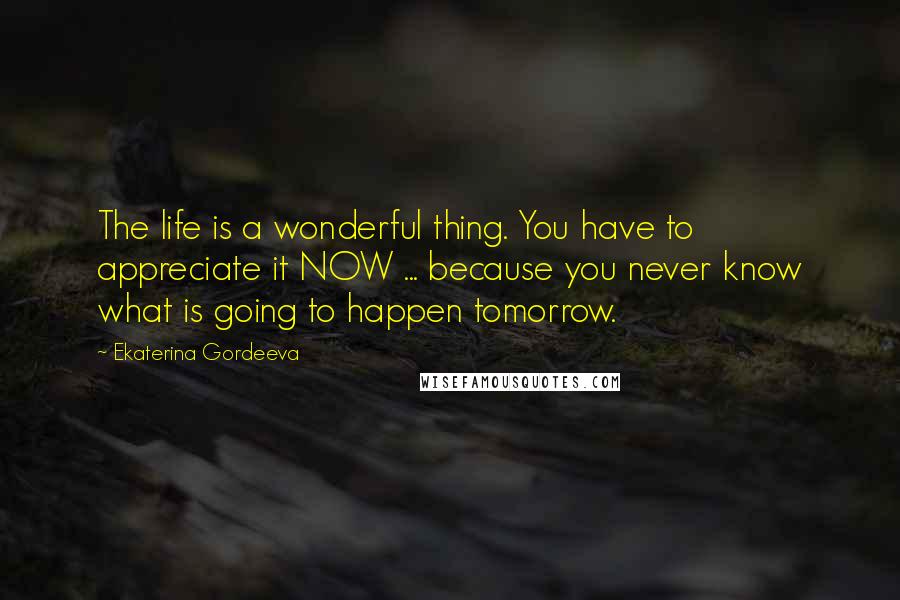 Ekaterina Gordeeva Quotes: The life is a wonderful thing. You have to appreciate it NOW ... because you never know what is going to happen tomorrow.