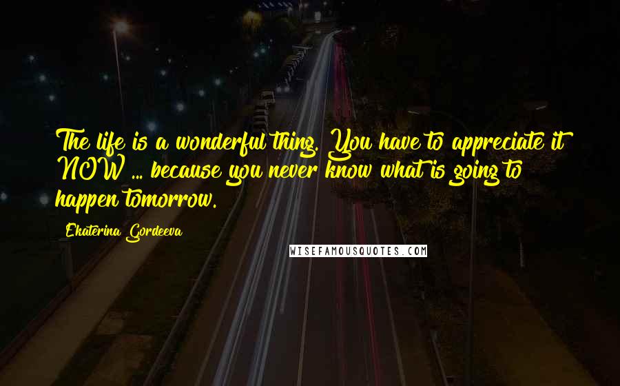 Ekaterina Gordeeva Quotes: The life is a wonderful thing. You have to appreciate it NOW ... because you never know what is going to happen tomorrow.