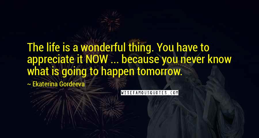 Ekaterina Gordeeva Quotes: The life is a wonderful thing. You have to appreciate it NOW ... because you never know what is going to happen tomorrow.
