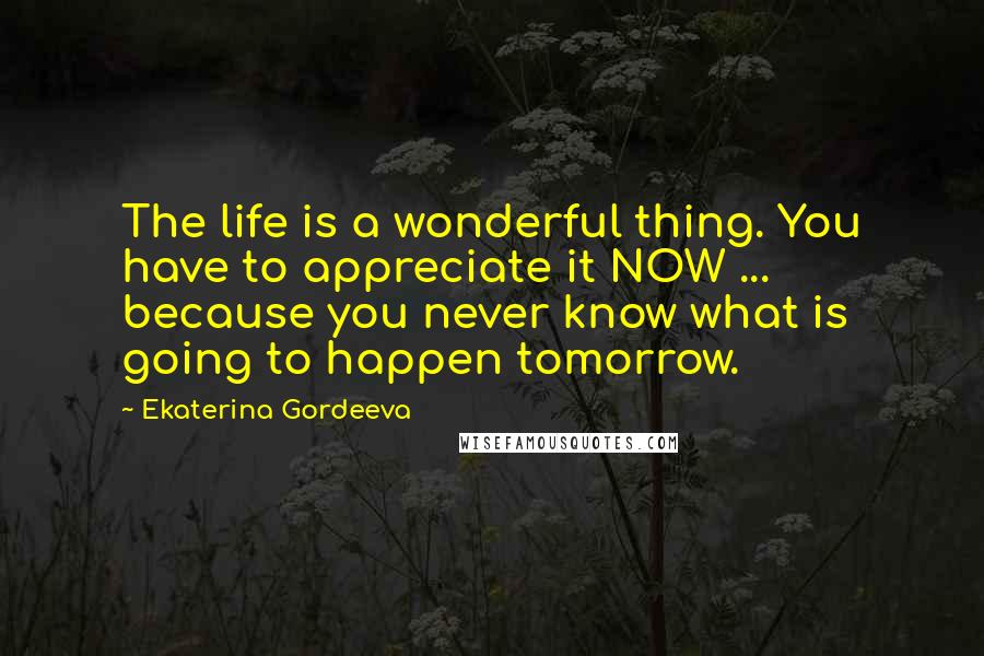 Ekaterina Gordeeva Quotes: The life is a wonderful thing. You have to appreciate it NOW ... because you never know what is going to happen tomorrow.