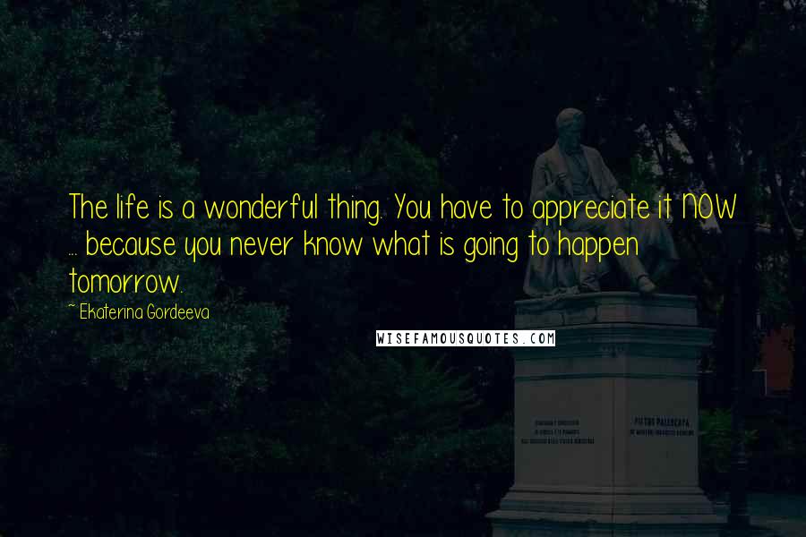 Ekaterina Gordeeva Quotes: The life is a wonderful thing. You have to appreciate it NOW ... because you never know what is going to happen tomorrow.