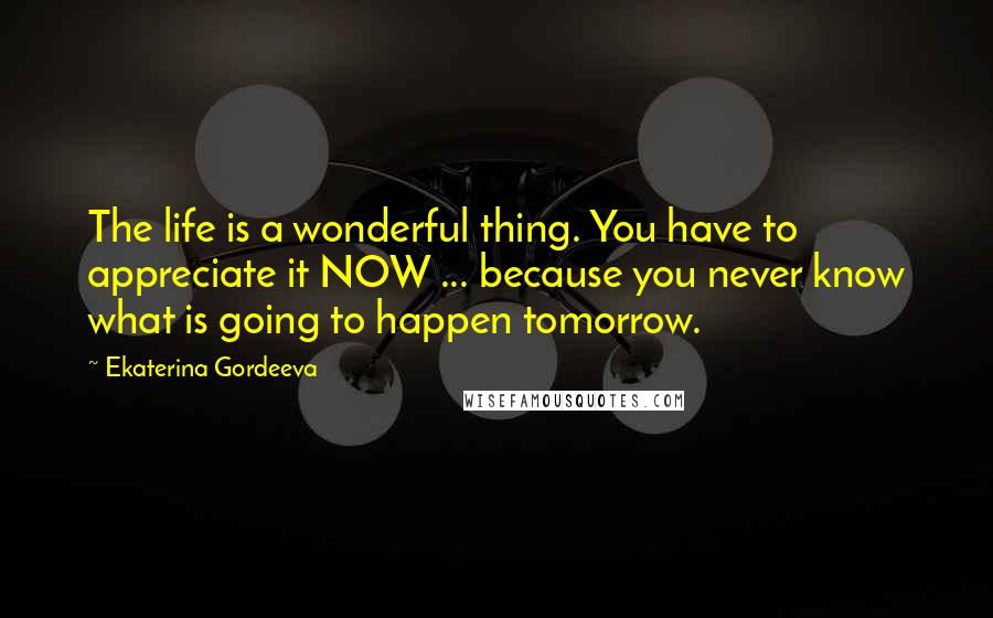 Ekaterina Gordeeva Quotes: The life is a wonderful thing. You have to appreciate it NOW ... because you never know what is going to happen tomorrow.