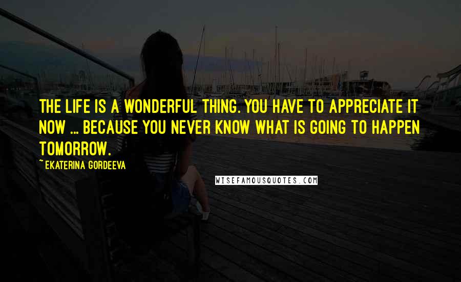 Ekaterina Gordeeva Quotes: The life is a wonderful thing. You have to appreciate it NOW ... because you never know what is going to happen tomorrow.