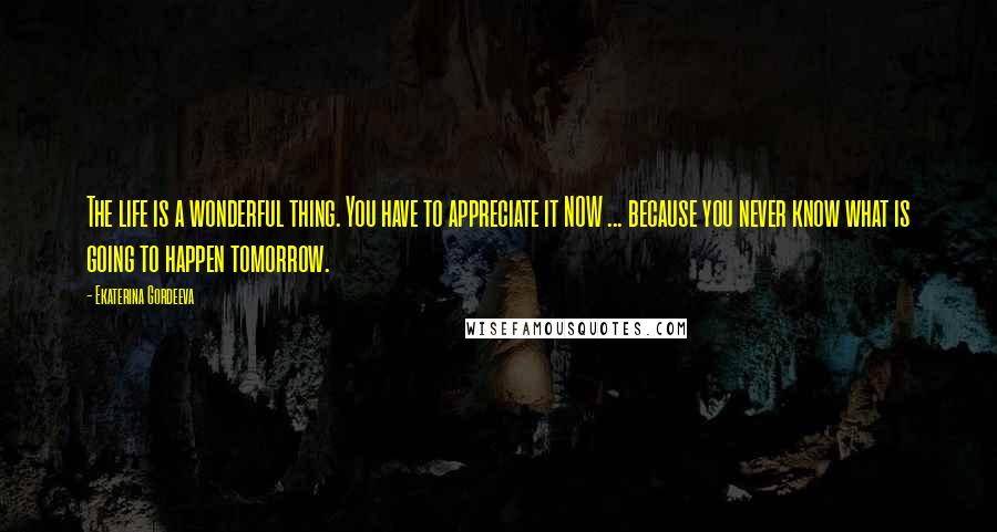 Ekaterina Gordeeva Quotes: The life is a wonderful thing. You have to appreciate it NOW ... because you never know what is going to happen tomorrow.